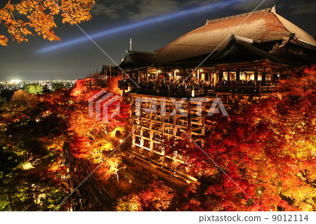 點亮·Kiyomizudera的秋葉 9012114