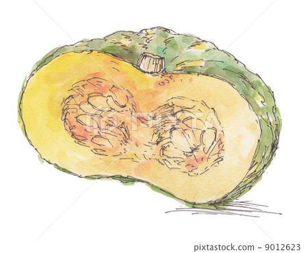 Illustration Watercolor pumpkin 9012623