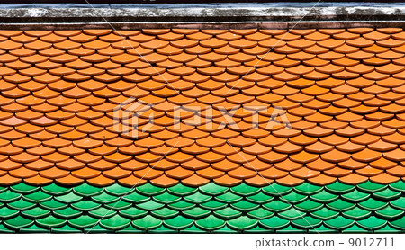 Roof Pattern 9012711