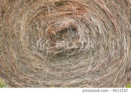 texture of dry round bale of straw grass 9013187