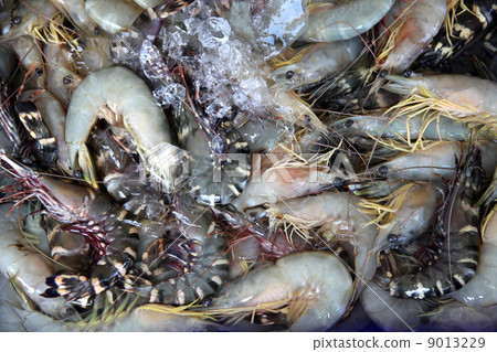 Raw shrimps Raw shrimps 9013229
