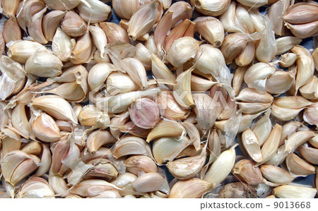 Dry Garlic Background 9013668
