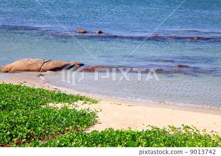 beach beach 9013742
