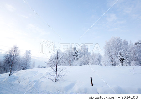 Winter landscape 9014108