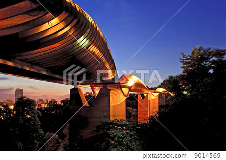 Singapore wavw bridge 9014569