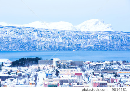 Narvik Cityscape at dusk Norway 9014581