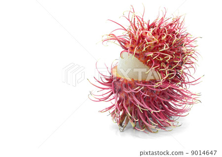 rambutan fruit macro rambutan fruit macro 9014647