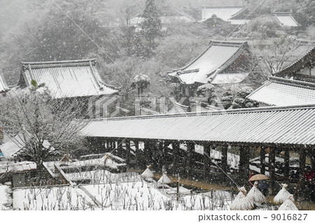 Hota Temple with snowy scenery 9016827