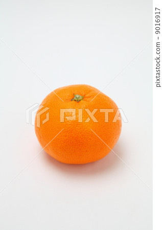 Arita mandarin orange 9016917