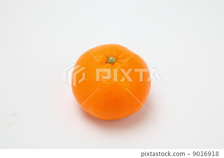 Arita mandarin orange 9016918