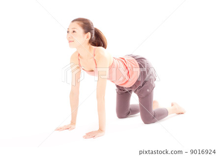 A pretty woman who did a ponytail posing a yoga cat A pretty woman who did a ponytail posing a yoga cat 9016924