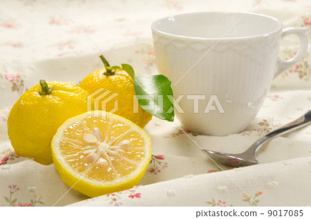 香櫞 香櫞 9017085