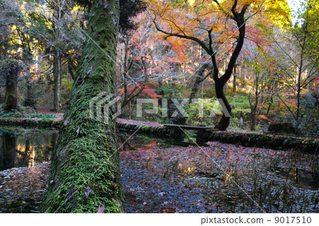 Yamabushi water source Yamabushi water source 9017510