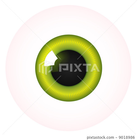 Vector eye 9018986