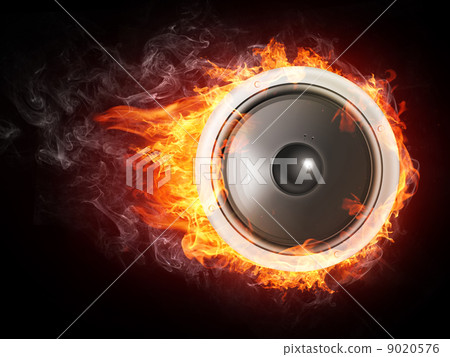 Acoustic Loudspeaker 9020576