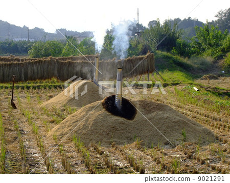 Rice husk charcoal charcoal Rice husk charcoal charcoal 9021291