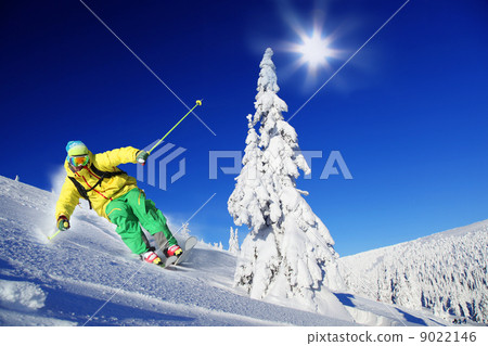 Skier skiing downhill in high mountains 9022146