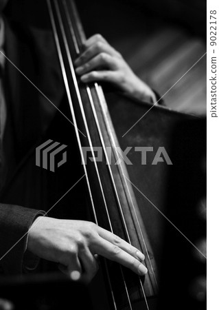 木基 木基 9022178