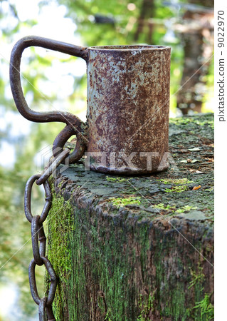 Old iron cup with a chain on the stump. 9022970