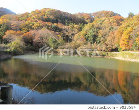 Yatsui pond at Kanekaidoyama (Fukaya city, Saitama Prefecture) 9023594