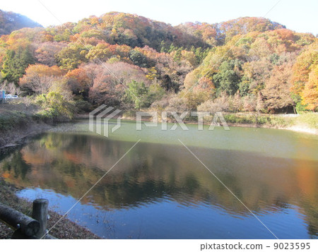 Yatsui pond at Kanekaidoyama (Fukaya city, Saitama Prefecture) 9023595