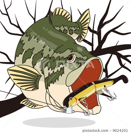 lure fishing, black bass, bass fishing 9024201