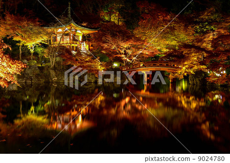 Daigoji秋天/夜間崇拜崇拜2013年 Daigoji秋天/夜間崇拜崇拜2013年 9024780