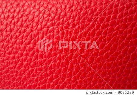 Red leather 9025289