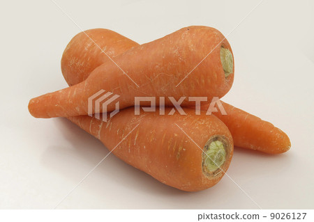 Carrots Carrots 9026127