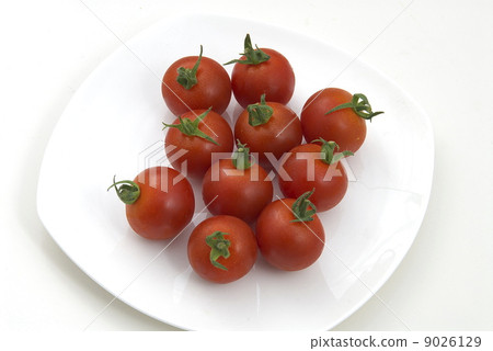  Mini Tomato 9026129