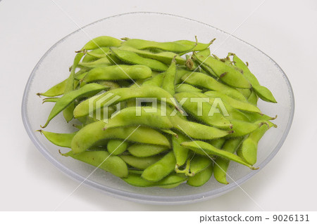 毛豆 毛豆 9026131