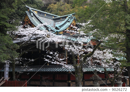 Shizuoka Asama Shrine Shizuoka Asama Shrine 9026272