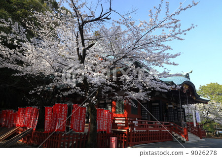 Shizuoka Asama Shrine 9026278