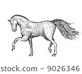 Engraved vintage horse 9026346