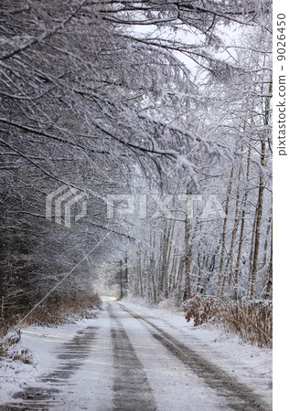 Snow-covered road  9026450