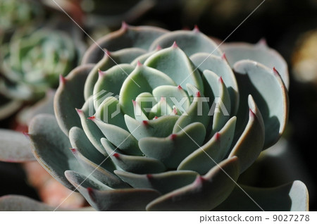 Seven Lucky Gods 9027278