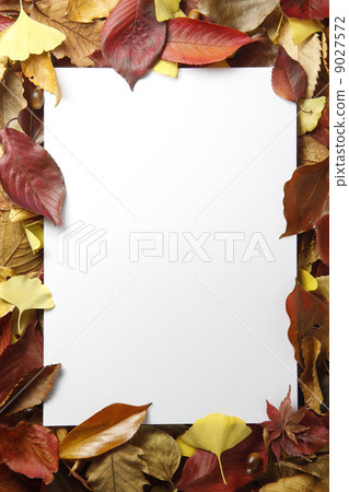 A4 message board on fallen leaves Vertical fallen leaves a bit A4 message board on fallen leaves Vertical fallen leaves a bit 9027572