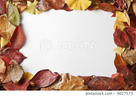 Beside the A4 message board surrounded by fallen leaves Beside the A4 message board surrounded by fallen leaves 9027573