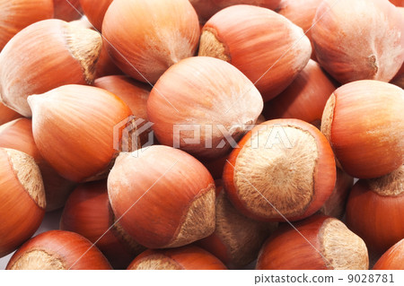Hazelnuts or filbert 9028781