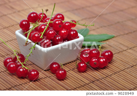 Harvested red currant Harvested red currant 9028949