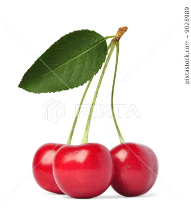 Sweet cherry Sweet cherry 9028989