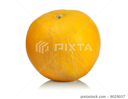 ripe melon 9029037