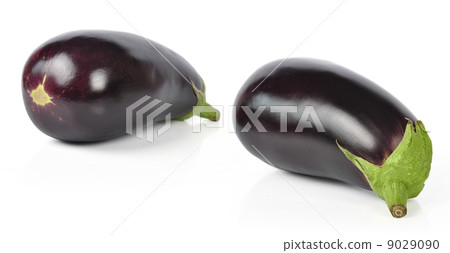 aubergine vegetable aubergine vegetable 9029090