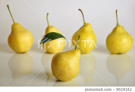 fresh pears 9029162