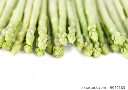 asparagus closeup 9029183