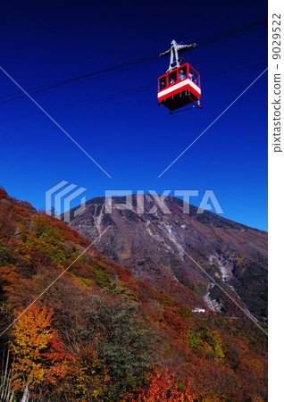 Akihira的秋葉 9029522