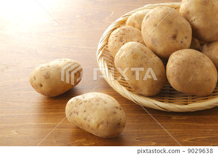 Hokkaido potato (cultivar Matilda) Hokkaido potato (cultivar Matilda) 9029638