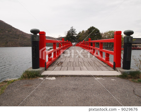 Akagi Shrine's Tree Bird Bridge 9029676