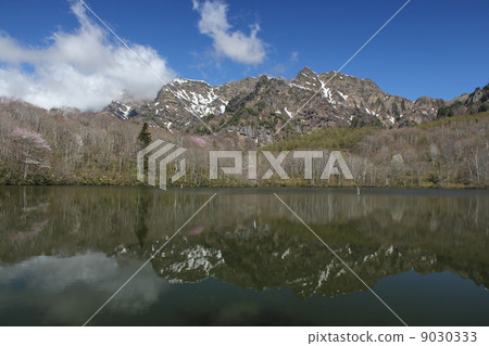 Mirror pond Mirror pond 9030333