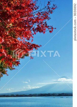 秋天·日本富士遠景和湖邊明亮的紅葉·垂直位置 9030892